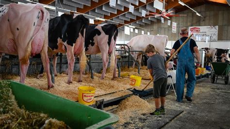 Premiazioni Alla Mostra Della Meccanica Agricola Di Saluzzo Poi Nel