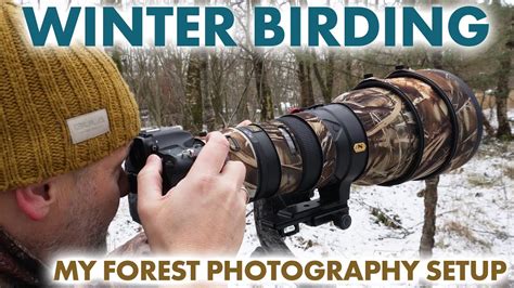 This Is My Winter Bird Photography Setup Youtube