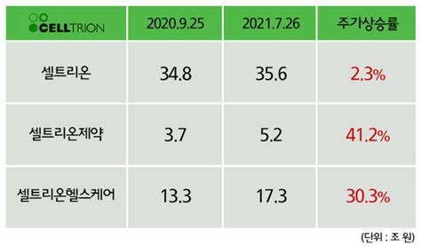 셀트리온 3사 합병 본격화 2세 승계 굳히기