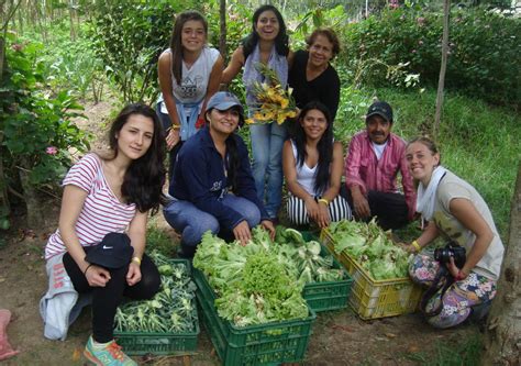 10 proyectos voluntarios de turismo ecológico en América del Sur