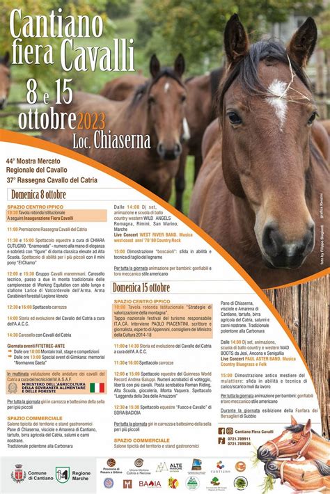 Cantiano Il Cavallo Del Catria Sa Sempre Ripartire Giusto Cavallo