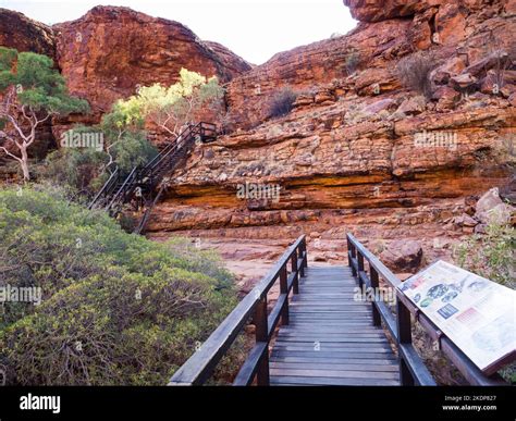 Bridge across the upper canyon by Ghost gums (Corymbia aparrerinja
