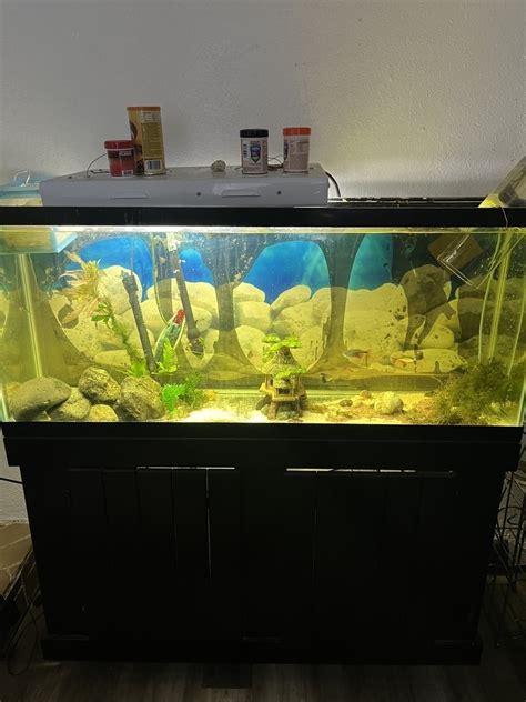 Alaska S List Fish 125 Gallon Saltwate