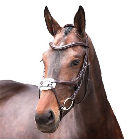 Shires Lusso Elite Grackle Bridle Houghton Country