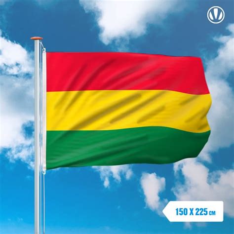 Vlag Carnaval Limburg 150x225cm Spunpoly Bol