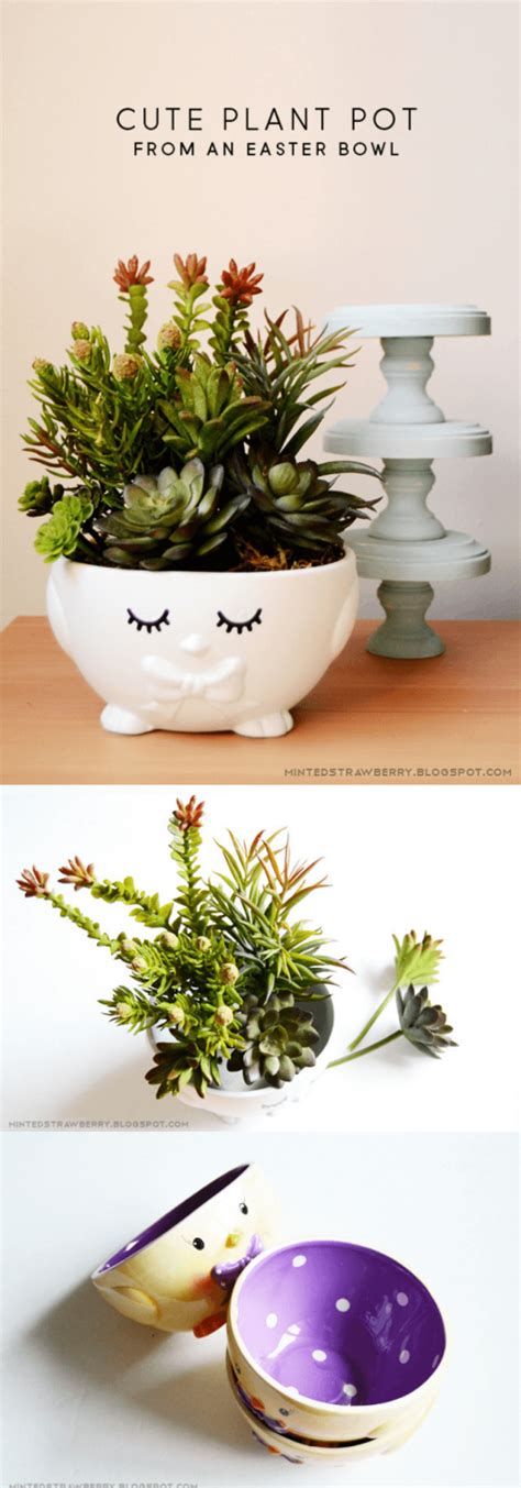 Colorful Indoor Succulent Garden Ideas For Your Home