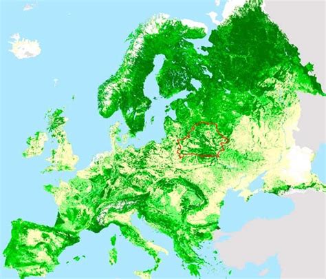 1. The Republic of Belarus on the European Forest Map 2 (Schuck at al ...