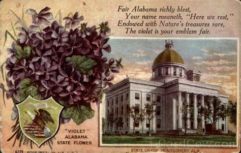 Alabama State Capitol and State Flower State Flowers & Seals