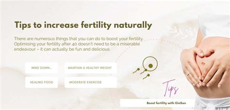 Top 5 Tips On How To Improve Fertility Naturally Over 40 Ginsen