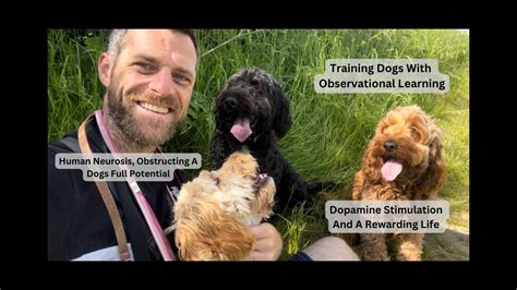 Training Dogs With Observational Learning Dopamine Stimulation And The