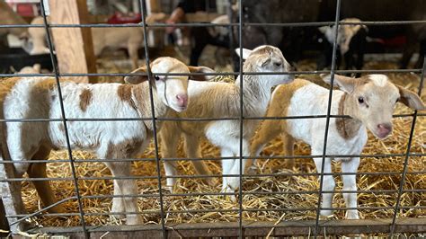 The Farm at Lee Martinez Park in Fort Collins through the years