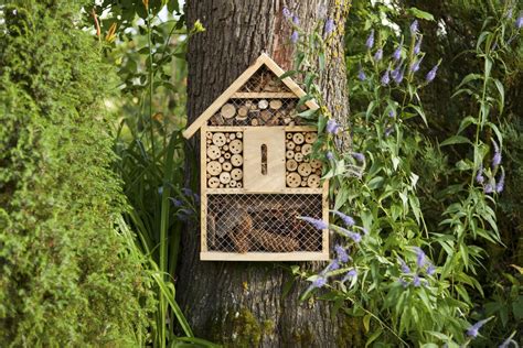 Insectenhotel Zelf Maken Zie Hier De Leukste Voorbeelden