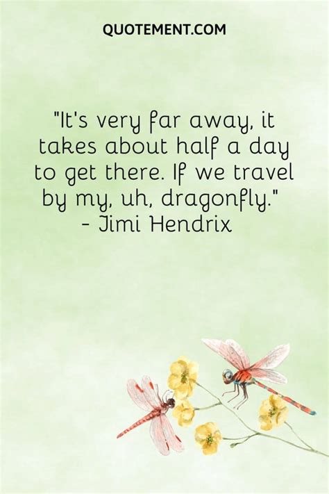 70 Enchanting Dragonfly Quotes For Wisdom And Inspiration