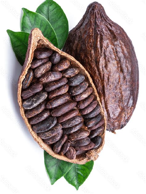 6 Surprising Health Benefits Of Cocoa Extract - Sportskeeda Stories