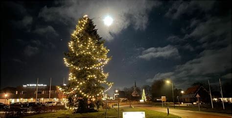 Hoogste Kerstboom Van Frysl N Staat In Donkerbroek Donkerbroek Nieuws