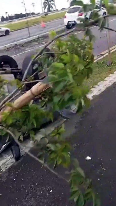 Motorista De Audi Bate Em Carros Estacionados Na Linha Verde E Foge