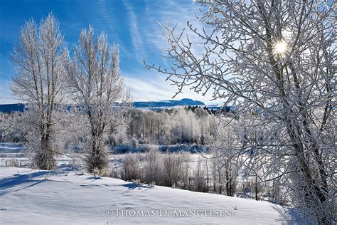 Winter - Landscapes