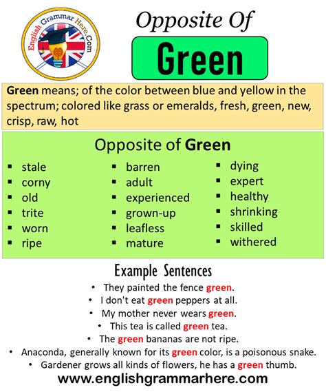 Opposite Of Green, Antonyms of Green, Meaning and Example Sentences - English Grammar Here