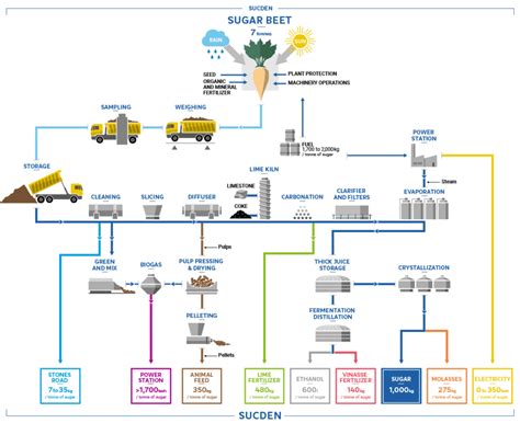 Process Flowcharts – Sugar – Products & Activities – Sucden