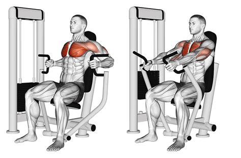 L Exercice Chest Press Ex Cution Conseils Et Variantes