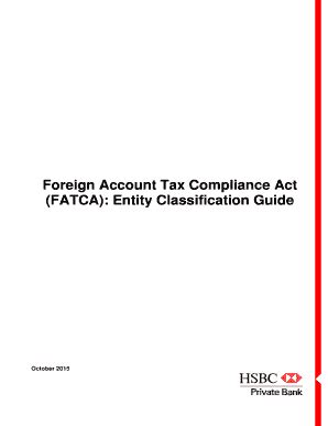 Fillable Online Fatca Entity Classification Guide Fax Email Print