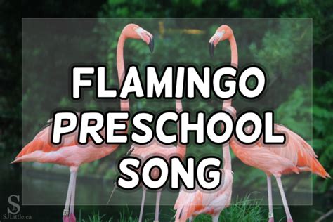 Flamingo Song for Preschoolers - original, easy, and fun!