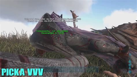 Ark Official Pvp Vvv Defending Unity Main Server Against Ada