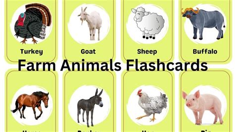 Learn Farm Animals Through Flashcards/ Farm Animals and their Sounds /Flashcards for Preschool ...