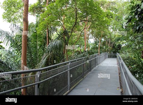 Telok Blangah Hill Park In Singapore Stock Photo Alamy