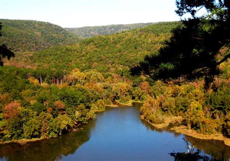 Ozark National Forest: see the area’s 6 best things to do