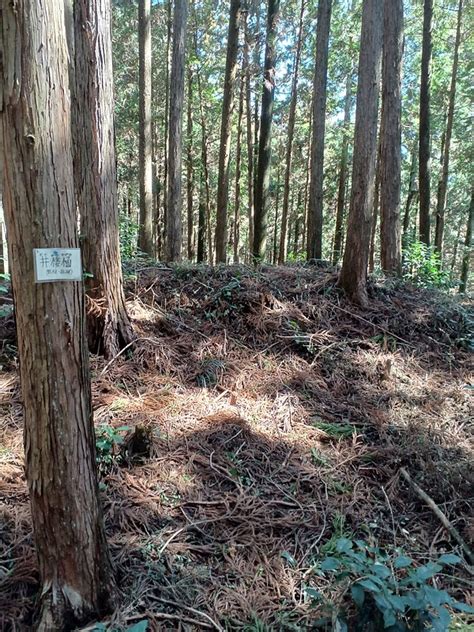 河内城の写真：井楼櫓跡土塁 利信さん 攻城団