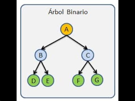 ÁRBOLES BINARIOS en JAVA YouTube