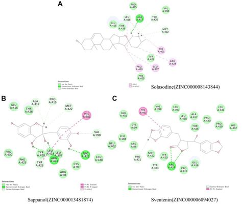 Schematic Illustration For Intermolecular Interaction Of The Predicted