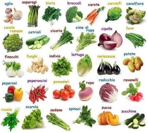 Italian Vegetables Learning Italian Italian Vocabulary Italian