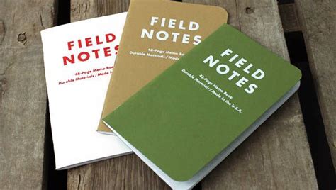 8+ Field Notes Examples & Samples | Examples