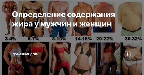 Определение содержания жира у мужчин и женщин | Домашние дела | Дзен