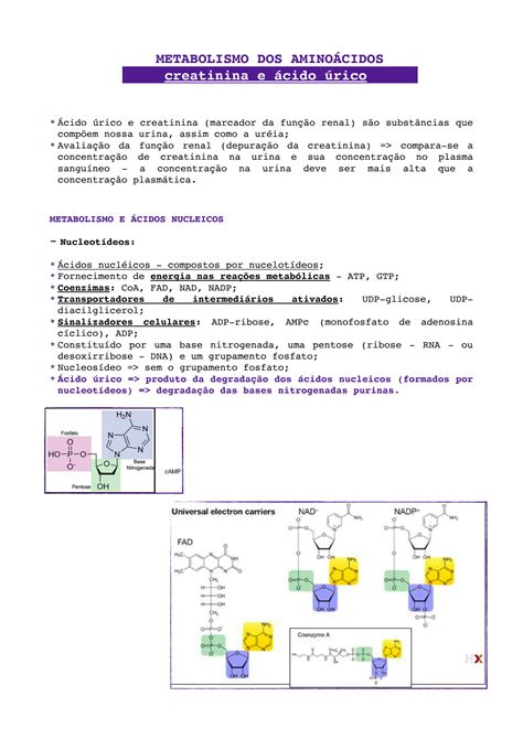 Solution Bioqu Mica Metabolismo Do Cido Rico Studypool