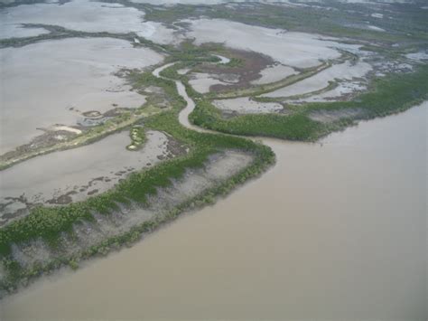 Aerial Image Of An Estuary South Of Townsville Showing The Mosaic Of