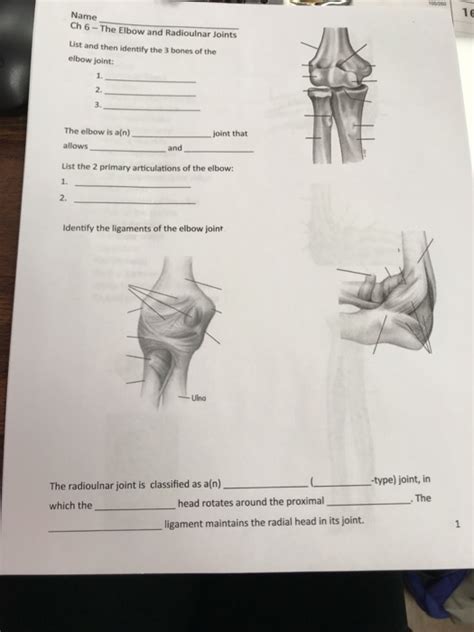 Solved 16 Name Ch 6 The Elbow And Radioulnar Joints List Chegg