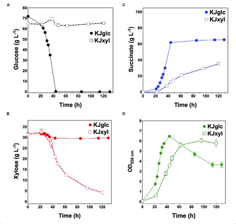 Fermentation Of Glucose Xylose Mixtures By Mass By Succinogenic