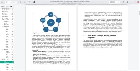 Nanda International Nursing Diagnoses Th Edition