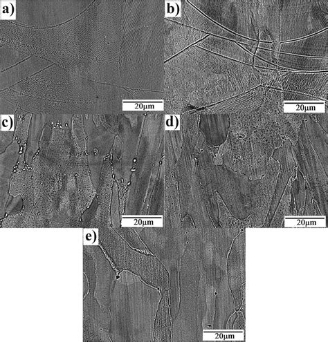 Heat Treatment Microstructure And Corrosion Relationship On 316L SS