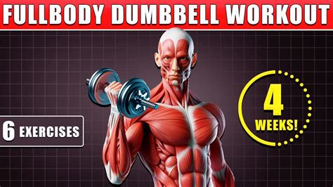 Full Body Dumbbell Workout For All Levels Burn Fat And Build Muscle