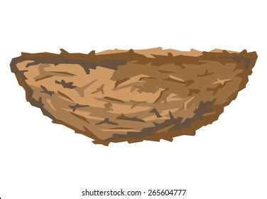 881 Empty Nest Cartoon Images, Stock Photos & Vectors | Shutterstock