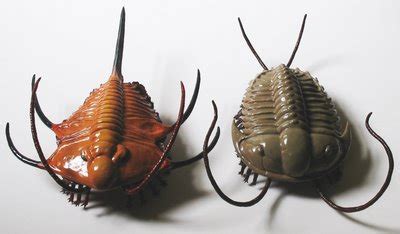 ART Evolved: Life's Time Capsule: Trilobite Sculptures