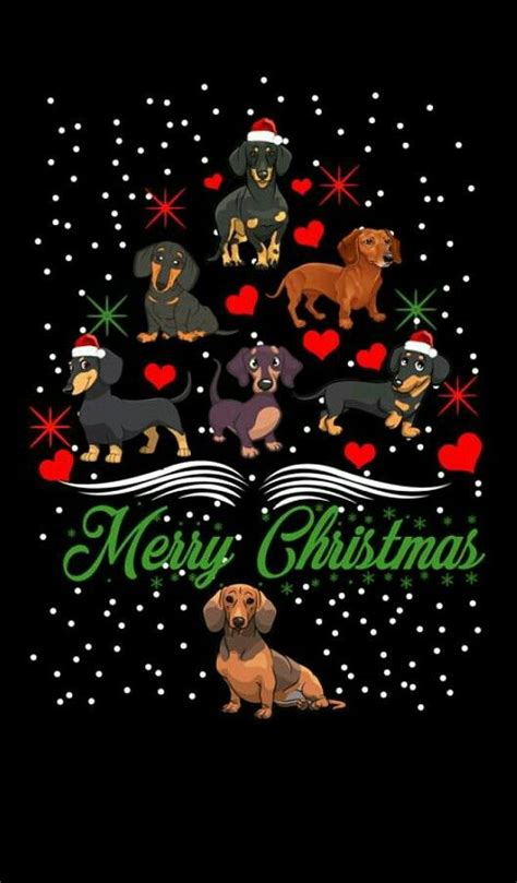 Christmas Weiner Dog Wallpaper - Pets Lovers