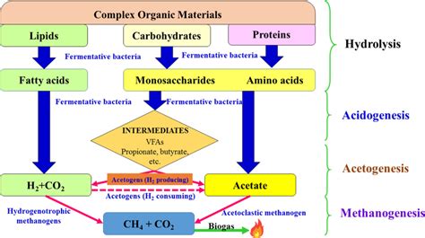 Steps involved in anaerobic digestion process for the conversion of ...