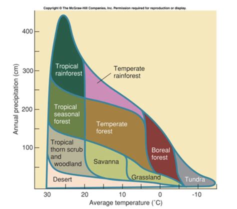 Apes Quest Biomes Island Biogeography And Phylogenetic Trees