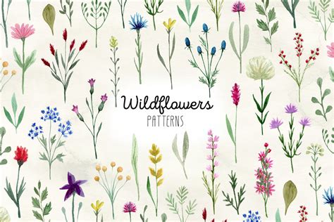 Watercolor Wildflowers Patterns Patterns Design Bundles