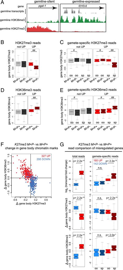 Sperm Inherited H3k27me3 Epialleles Are Transmitted Transgenerationally